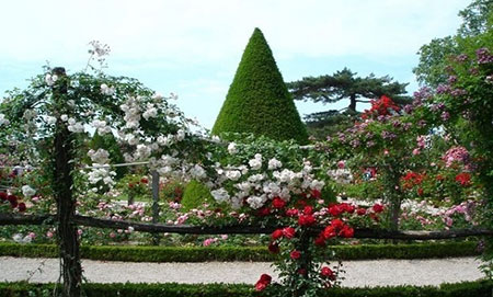 10 نمونه از زیباترین باغ‌های جهان